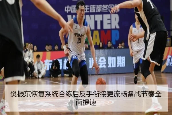 樊振东恢复系统合练后反手衔接更流畅备战节奏全面提速